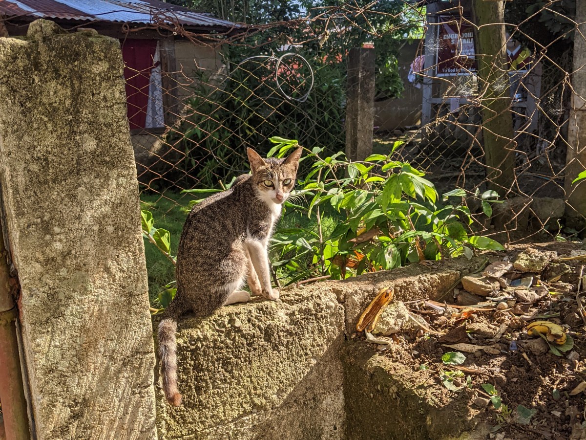 A One Night Stay At My Grandparents House In The Mountains Of&nbsp;Cebu