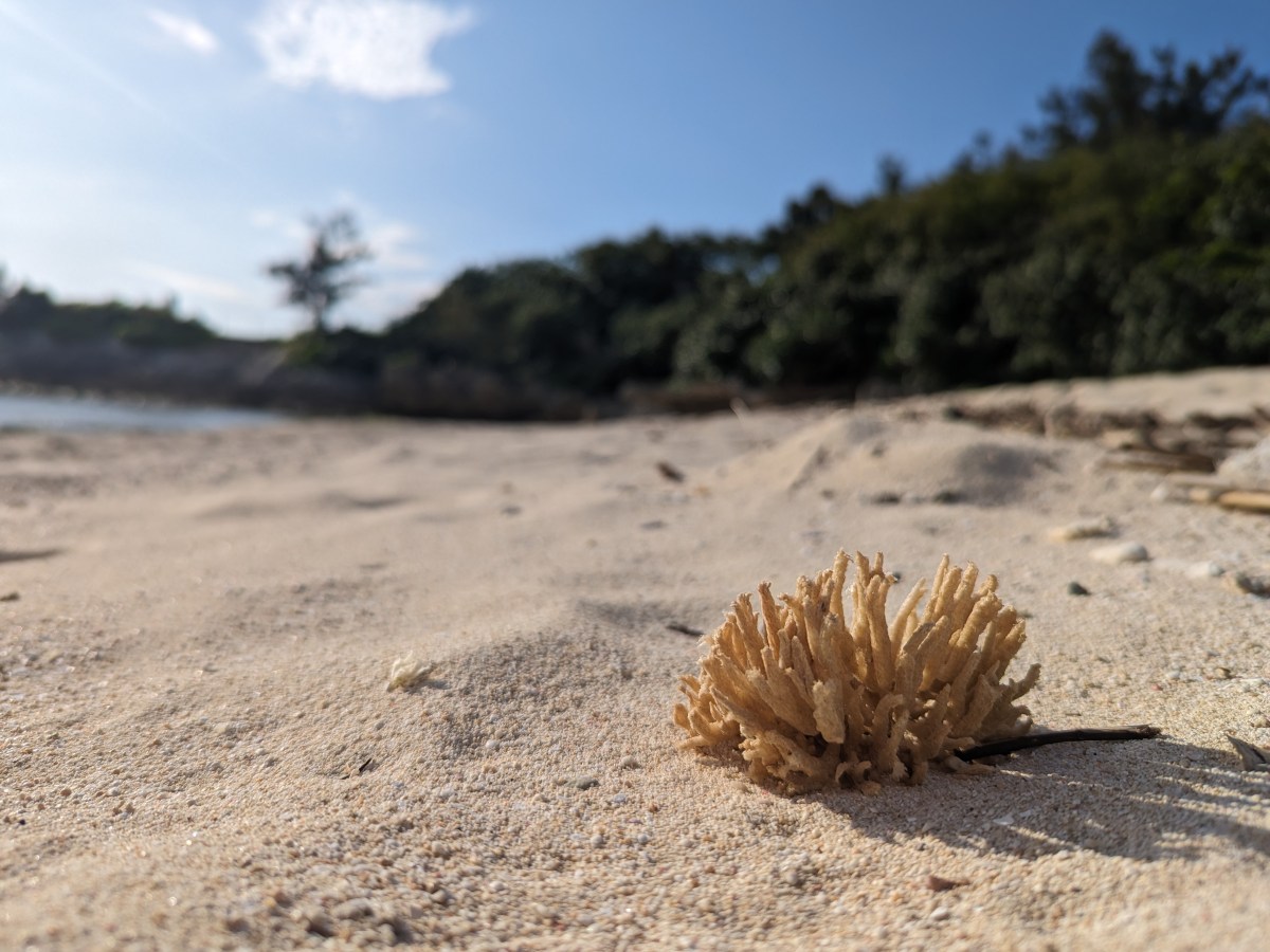 A homey stay in Yomitan: Exploring Okinawa,&nbsp;Japan