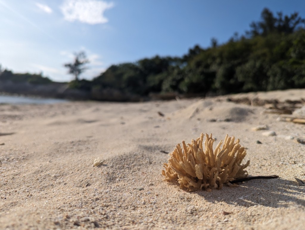 A homey stay in Yomitan: Exploring Okinawa,&nbsp;Japan