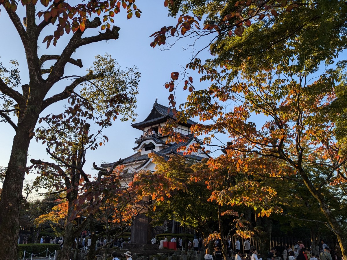 Is Japan the best country for first time solo&nbsp;travellers?